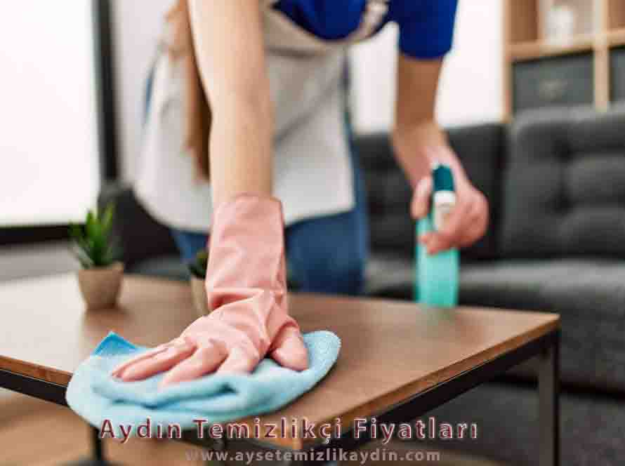 Aydın Temizlikçi Fiyatları